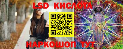 прущие грибы Партизанск