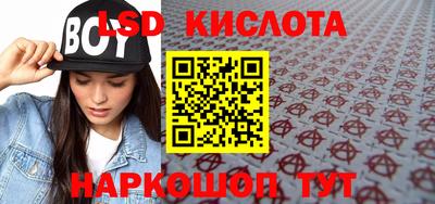 прущие грибы Партизанск