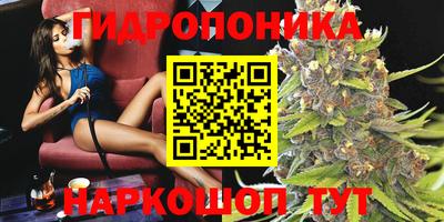 прущие грибы Партизанск